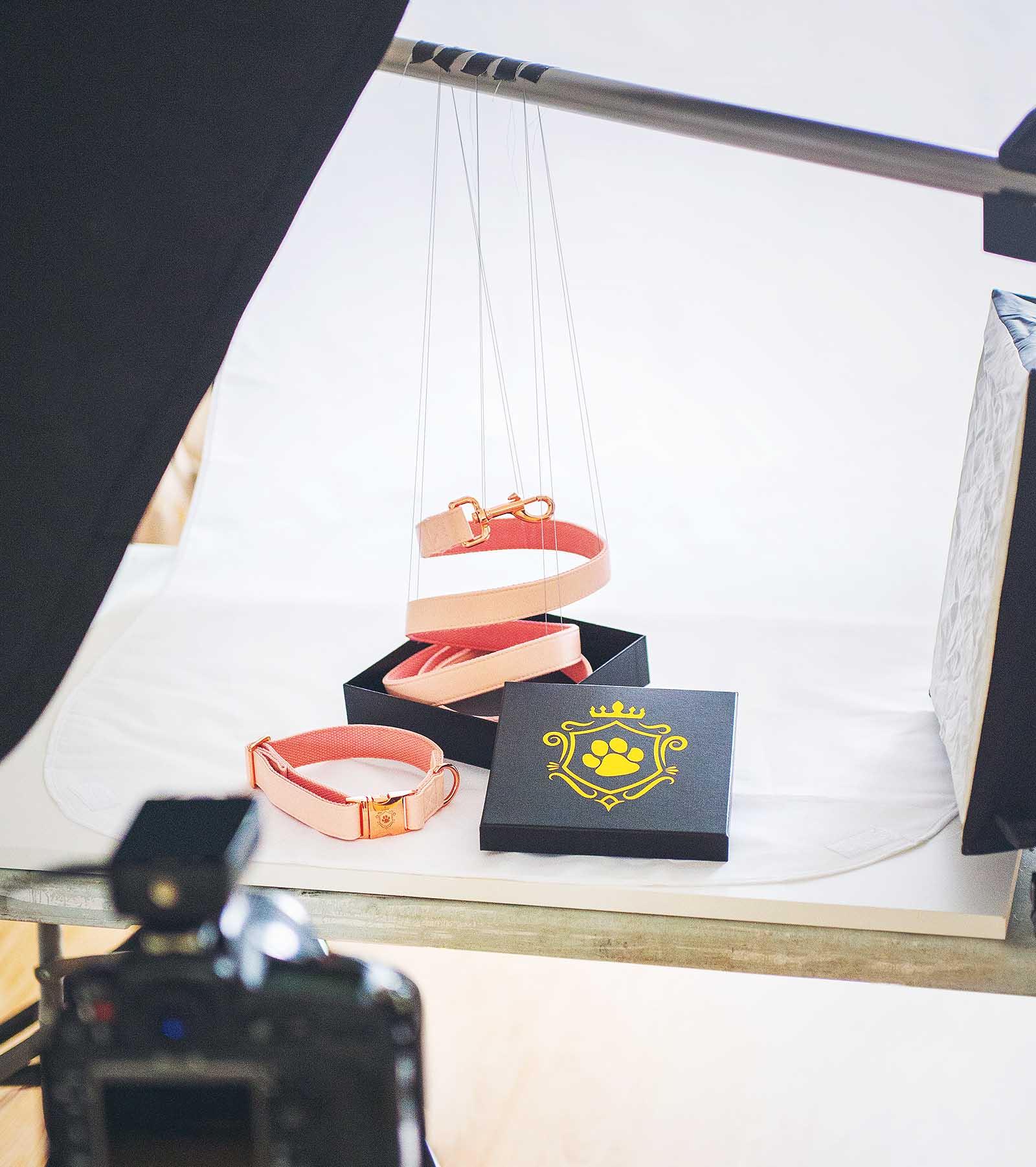 bts-idoggos-2