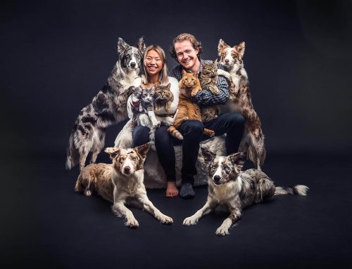 Comment réussir une séance photo de famille avec ses animaux de compagnie