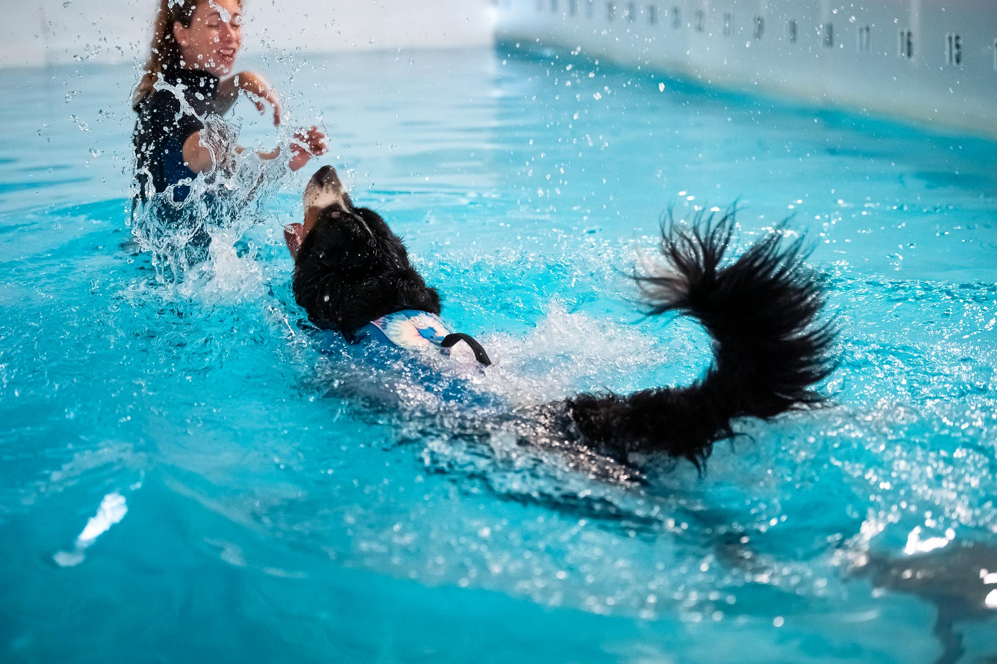 Centre Hydromassage Canin