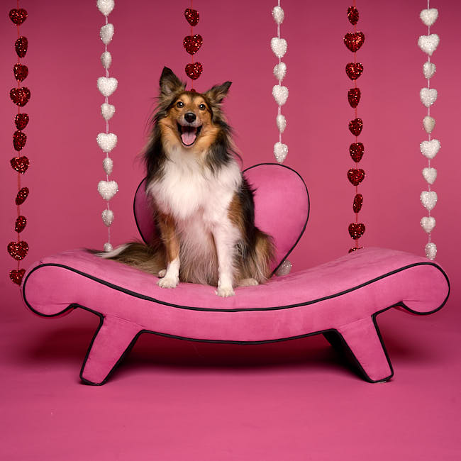 20260117-saint-valentin-106