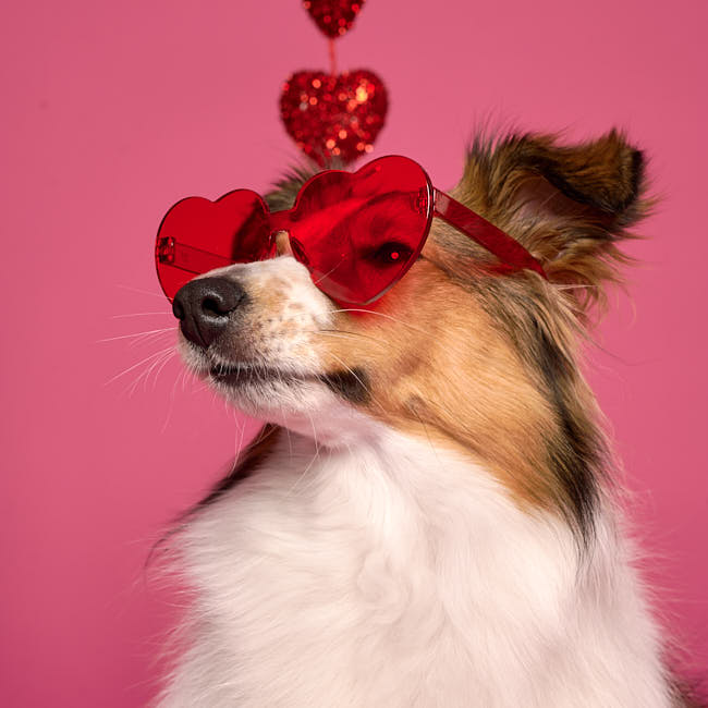 20260117-saint-valentin-211